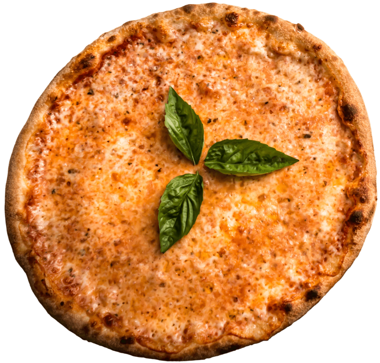 Pizza Margherita